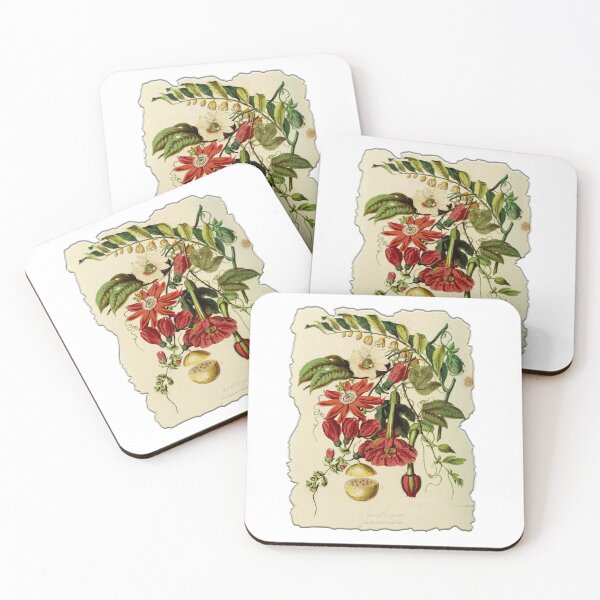 Item preview, Vintage Botanical Floral Flower Plant Art Drawing designed and sold by PodiShawna.