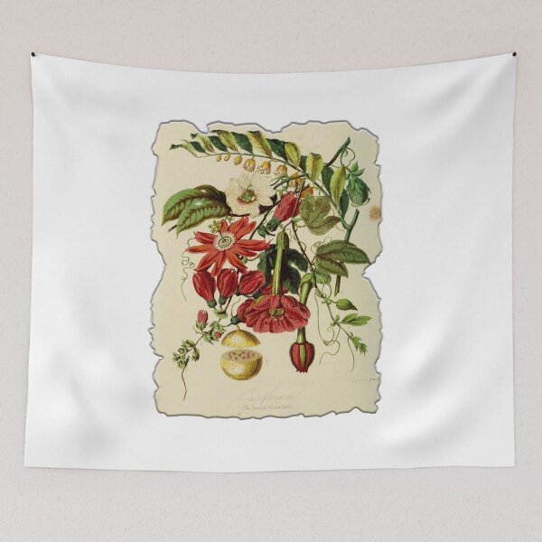 Item preview, Vintage Botanical Floral Flower Plant Art Drawing designed and sold by PodiShawna.