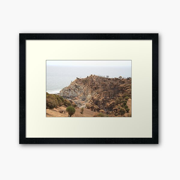 After 2020 Kangaroo Island Fire - Burnt to Stone Framed Art Print