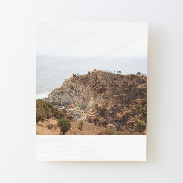 After 2020 Kangaroo Island Fire - Burnt to Stone Wood Mounted Print
