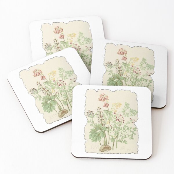 Item preview, Vintage Botanical Floral Flower Plant Art Drawing designed and sold by PodiShawna.