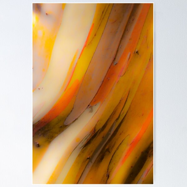 Item preview, snowgum tones designed and sold by Brett Thompson.