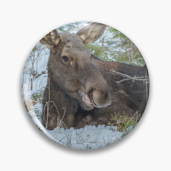 Item preview, Moose - Animal designed and sold by RolandWidin.