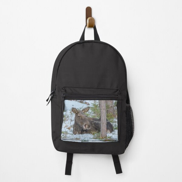 Item preview, Moose - Animal designed and sold by RolandWidin.