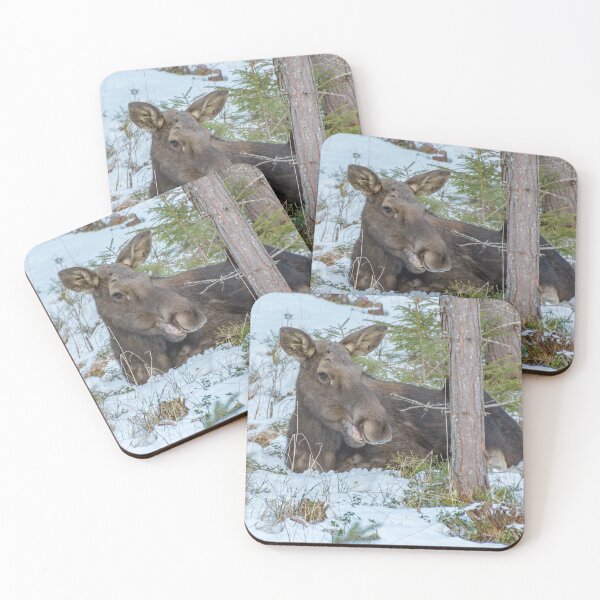 Item preview, Moose - Animal designed and sold by RolandWidin.