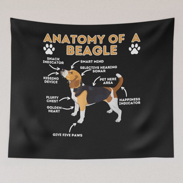 Item preview, Anatomy Of A Beagle - Funny Beagle Dog Lover Pet Owner designed and sold by jimmiexq.