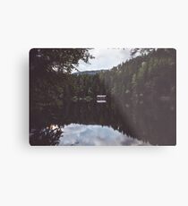 Cabin Metal Print