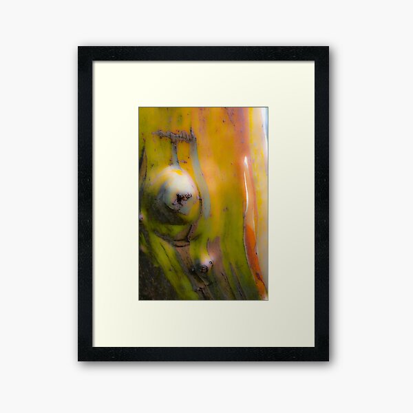 Item preview, snowgum textures designed and sold by Brett Thompson.