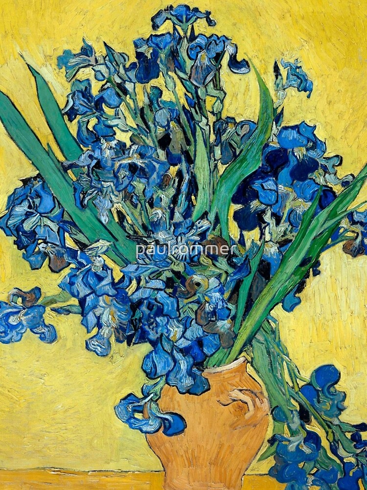 1890-Vincent van Gogh-Irises-73,5x92 by paulrommer