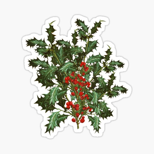 Item preview, Vintage Bouquet of Ilex Branches designed and sold by Genevieve-art.