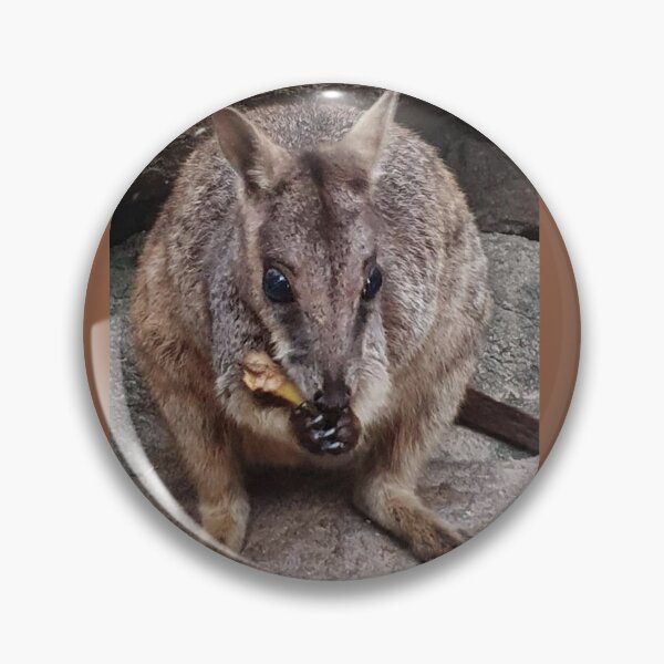 Item preview, Rock Wallabies of Nelly Bay designed and sold by MickAndoDesigns.