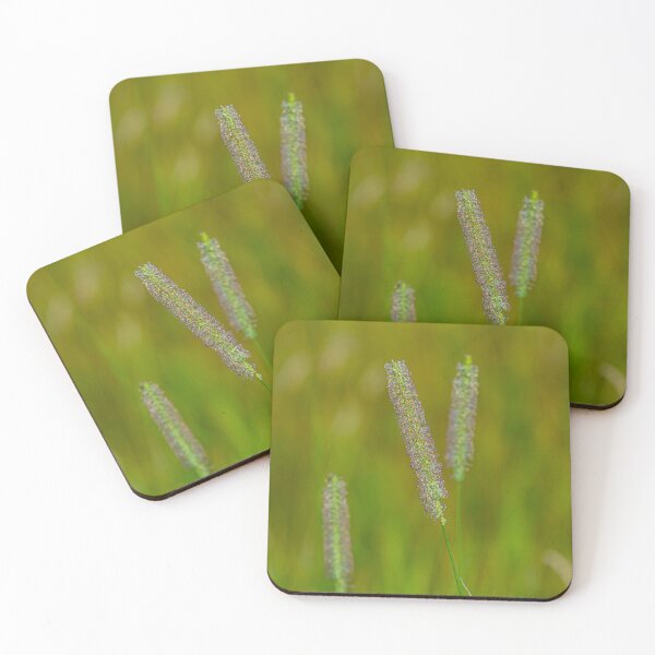 Item preview, Beautiful Timothy grass designed and sold by Dalyndigital Photography.