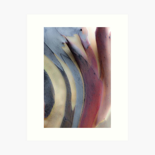 Item preview, snowgum design designed and sold by Brett Thompson.