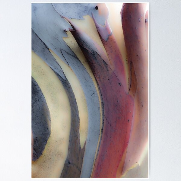 Item preview, snowgum design designed and sold by Brett Thompson.