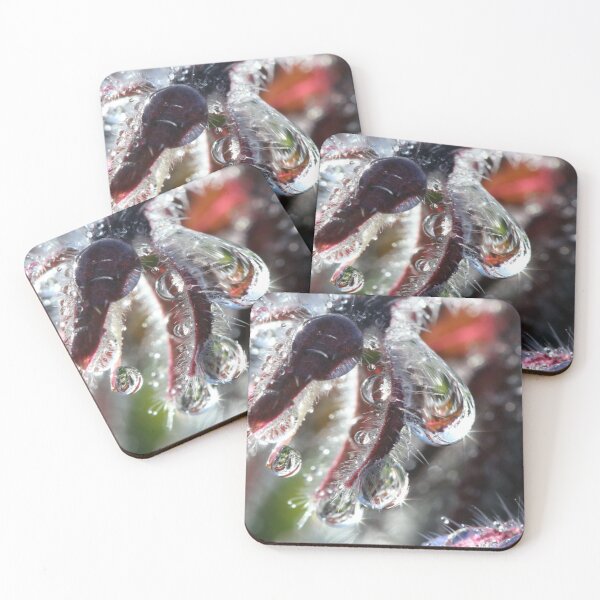 Item preview, raindrops on Borage designed and sold by SarahDownunder.