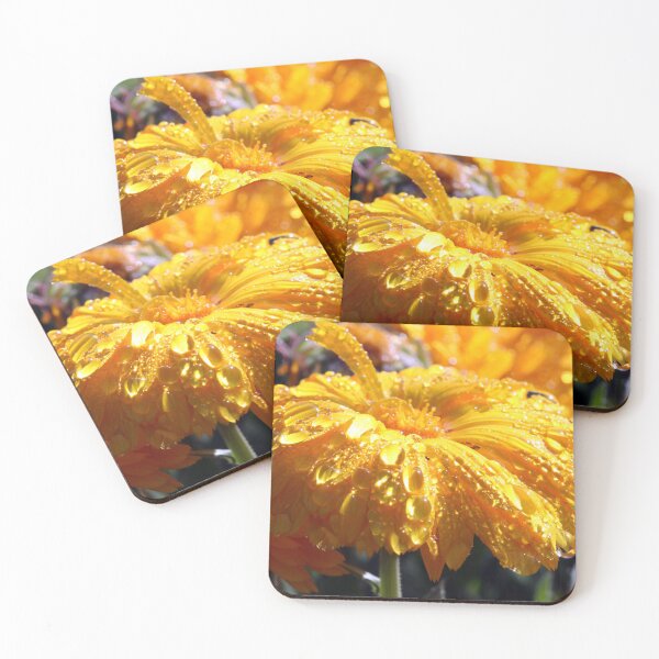 Item preview, Raindrops on Calendula designed and sold by SarahDownunder.