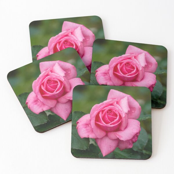 Item preview, A beautiful rose in the natural environment designed and sold by asprse.