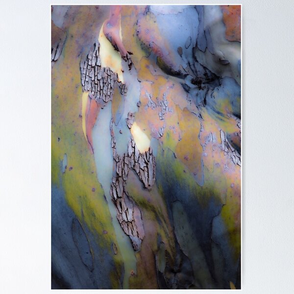 Item preview, snowgum hues scarf collection designed and sold by Brett Thompson.