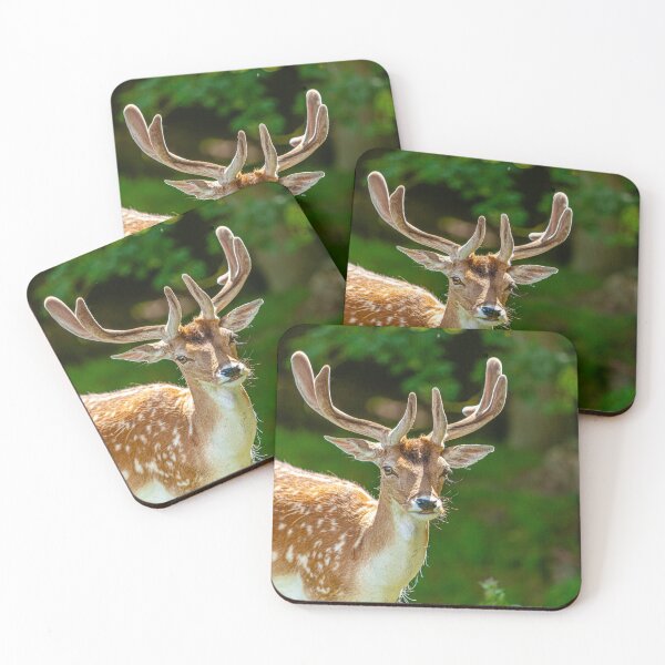 Item preview, Fallow Buck in velvet designed and sold by Dalyndigital Photography.