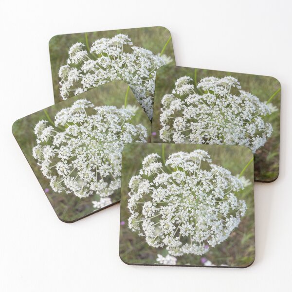 Item preview, Queen Anne’s Lace designed and sold by MichiganBeauty.