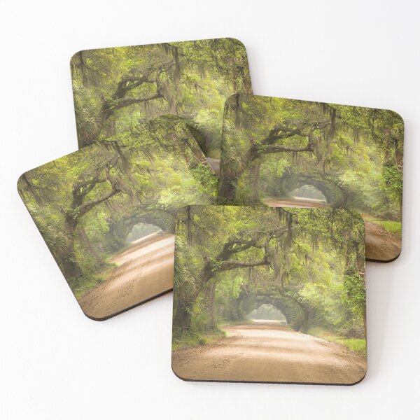 Item preview, Charleston SC Dirt Road Forest Botany Bay Plantation Spanish Moss Cottage Wall Art Print designed and sold by Erika Bartha.