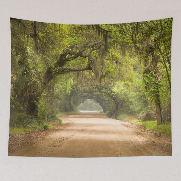 Item preview, Charleston SC Dirt Road Forest Botany Bay Plantation Spanish Moss Cottage Wall Art Print designed and sold by Little Joys Art.