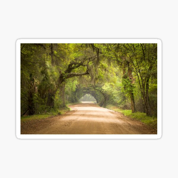 Item preview, Charleston SC Dirt Road Forest Botany Bay Plantation Spanish Moss Cottage Wall Art Print designed and sold by DiverseVisionsHarmony.