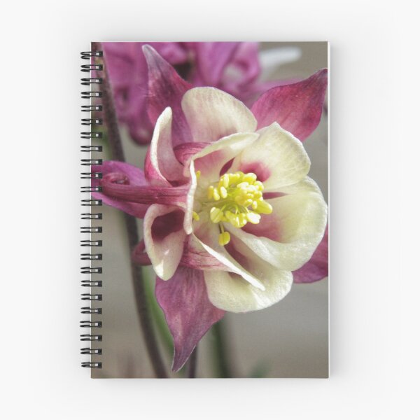 Item preview, Summer meadow dark red/white Aquilegia flower designed and sold by hoxtonboy.