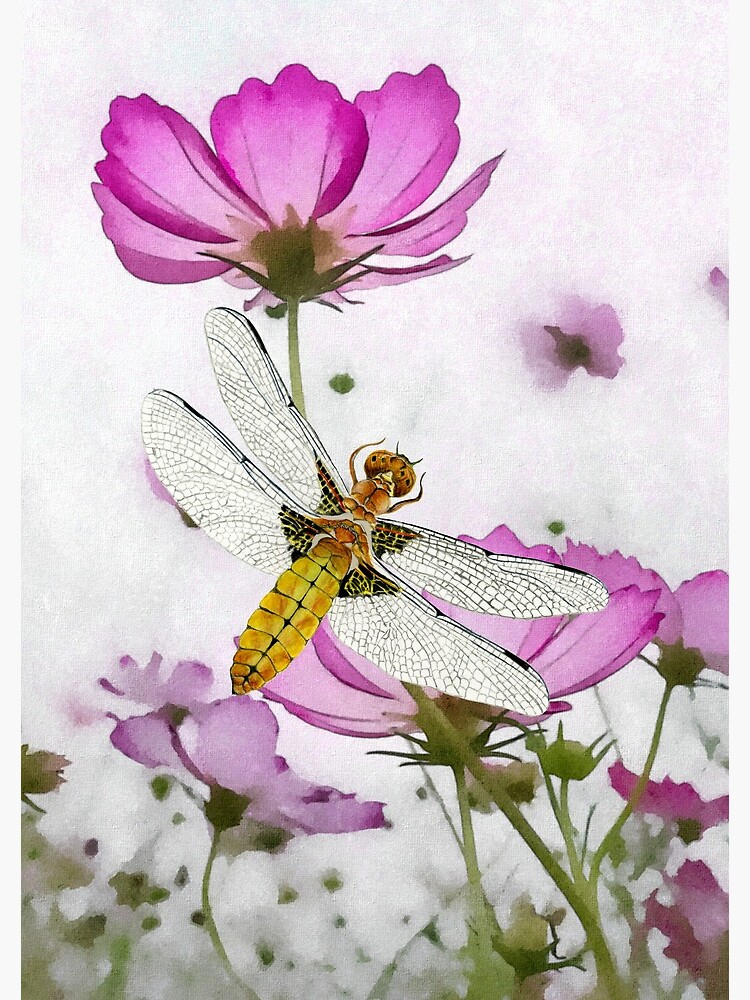 Broad bodied Chaser Dragonfly Insect on Cosmos Watercolor Painting Artwork by alison777