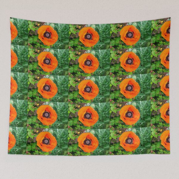 Item preview, A Oriental poppy designed and sold by PicsByTony.
