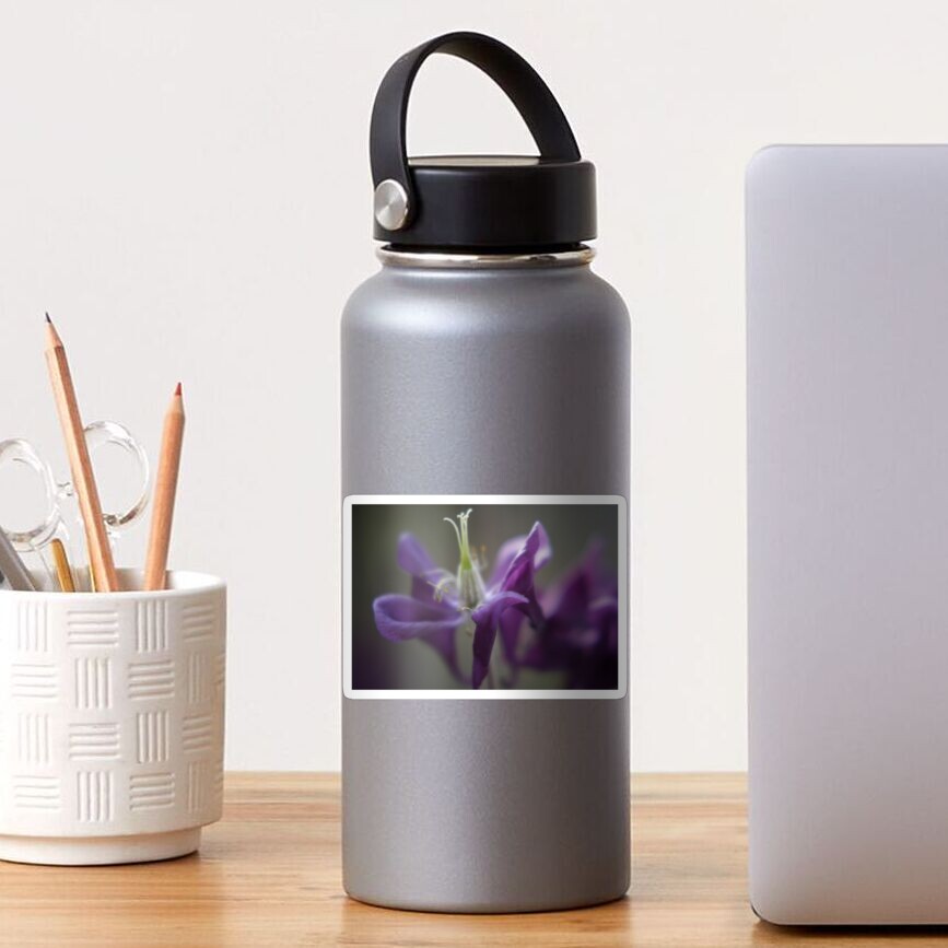 Summer meadow soft purple Aquilegia flower Sticker