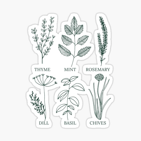 Amazon.com: Fresh Herbs and Spices Botanical Farmhouse Wall Art Poster  Print, Set of 4, 8x10 Boho Flower Decoration Prints, Nature Pictures,  Aesthetic Floral Posters for Bedroom, Bathroom, Kitchen & Office Decor :