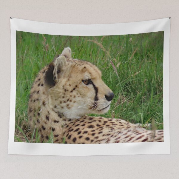Item preview, A Wonderful Cheetah designed and sold by Karen Thomson.