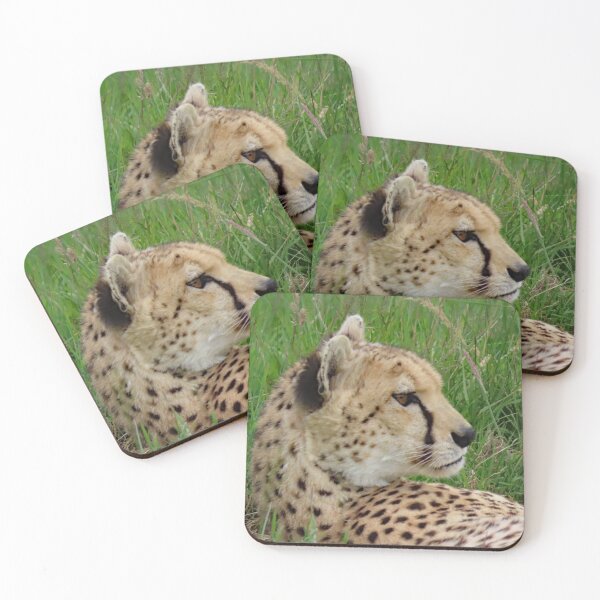 Item preview, A Wonderful Cheetah designed and sold by Karen Thomson.