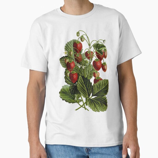 Aperçu de l'œuvre Vintage - Fraises TIR créée et vendue par imageresource.