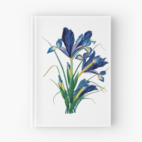 Item preview, Vintage - Flower - TIR - Blue Iris designed and sold by imageresource.