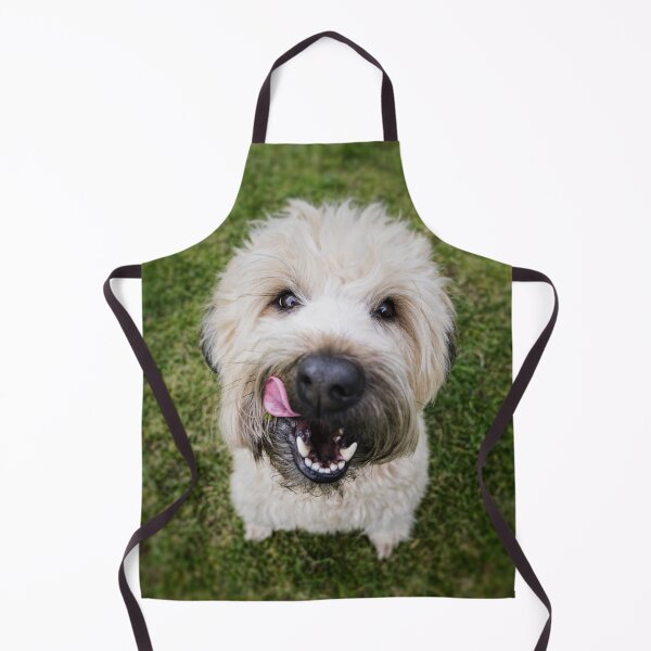 Item preview, Fluffy White Dog Cute designed and sold by cabgodfrey.