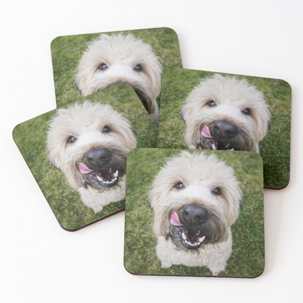 Item preview, Fluffy White Dog Cute designed and sold by cabgodfrey.