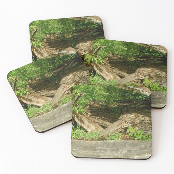 Item preview, Weeds growing in a fallen tree designed and sold by Shulie1.