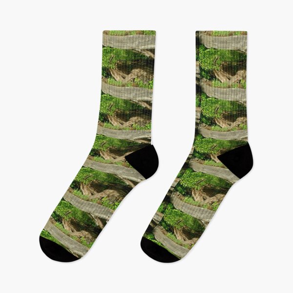 Item preview, Weeds growing in a fallen tree designed and sold by Shulie1.