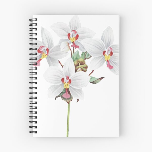 Item preview, FF - Vintage - Flower-Orchid designed and sold by imageresource.