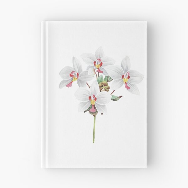 Item preview, FF - Vintage - Flower-Orchid designed and sold by imageresource.