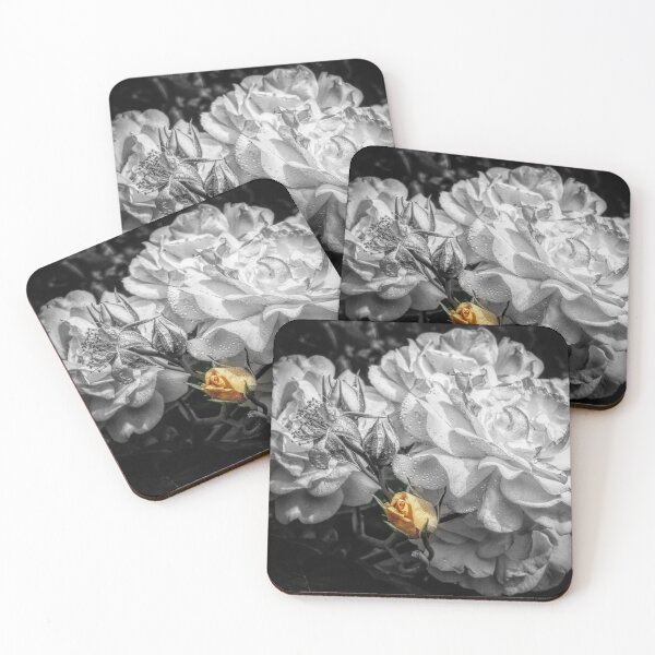 Item preview, I have found none that were not my friends. designed and sold by Nick  Kenrick Photography.