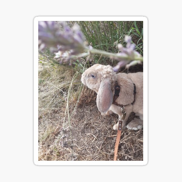 Item preview, Lavender bunny adventure  designed and sold by twinklethebat.