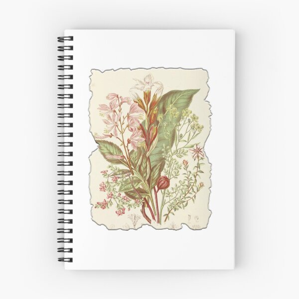 Item preview, Vintage Botanical Floral Flower Plant Art Drawing designed and sold by PodiShawna.