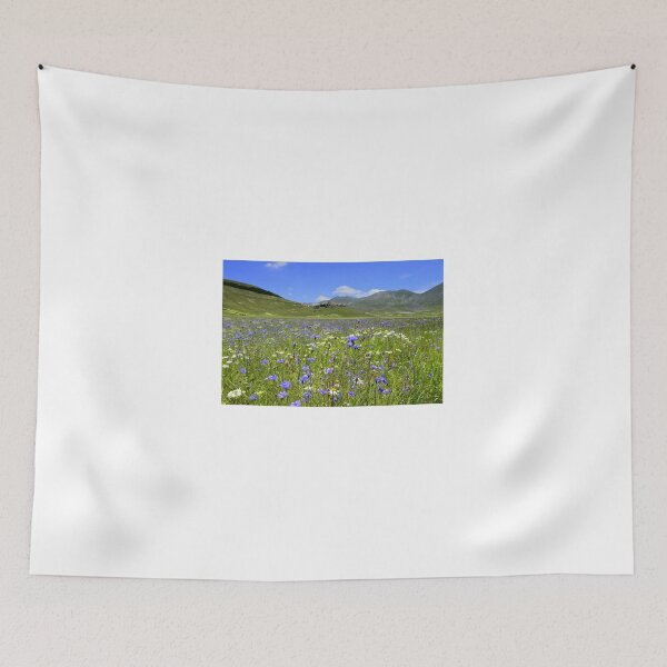 Item preview, The cornflowers of Castelluccio  designed and sold by annalisa56.