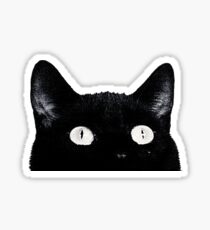 Pegatina gato