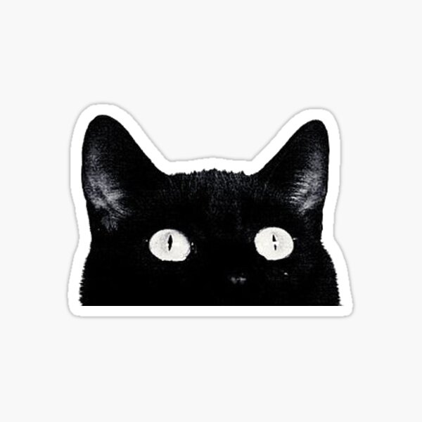 cat Sticker