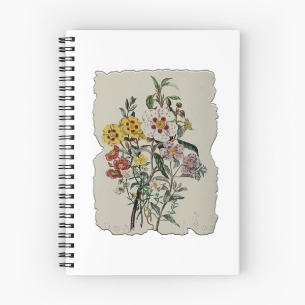 Item preview, Vintage Botanical Floral Flower Plant Art Drawing designed and sold by PodiShawna.
