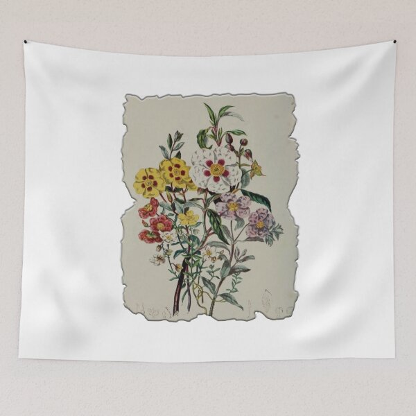 Item preview, Vintage Botanical Floral Flower Plant Art Drawing designed and sold by PodiShawna.